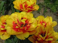 IMG_4213_1024x768.webp