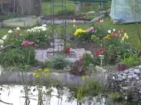 29-04-2010 018.webp