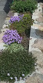 Steingartenbeet Einfahrt.webp