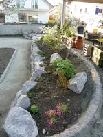 CarpoBeet ganz.webp