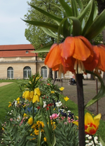 SchlomitKaiserkrone.webp