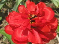 011.webp