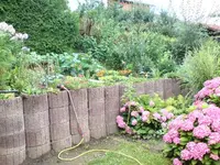 Garten 2 00007.webp