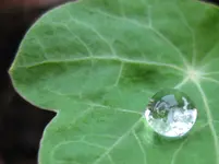 Wassertropfen (2).webp