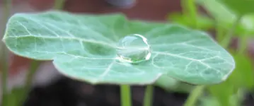 Wassertropfen (3).webp