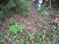 IMG_2097.webp