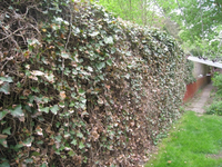 IMG_2098.webp