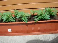 CIMG3157.webp