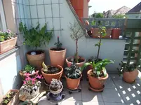 DSCF0718.webp