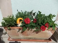 DSCF0732.webp