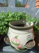 DSCF0730.webp