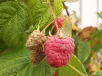 100_0059_800x600.webp