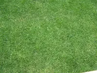 100_2323.webp