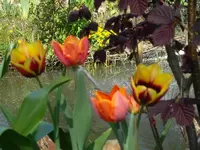 SDC10825.webp