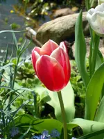 SDC10811.webp