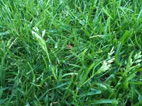 Foto 2.webp