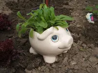 Garten 20.6.09 026.webp