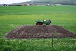 Links Kartoffeln rechts Zwiebeln.JPG