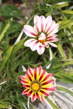 IMG_9709.webp