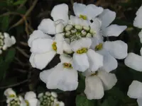 IMG_4294_1024x768.webp