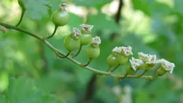 16.webp