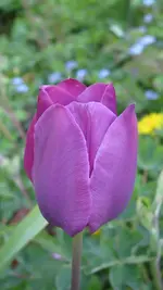 18.webp