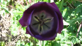 19.webp