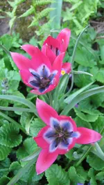 22.webp
