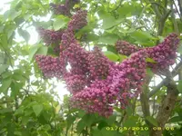 21860.webp