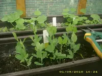 JD800019.webp