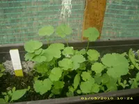 JD800021.webp