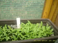 JD800022.webp