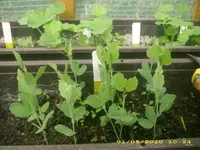 JD800023.webp