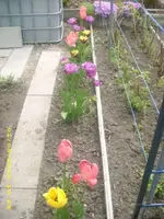 21863.webp