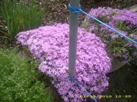 21864.webp