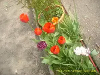 JD800028.webp