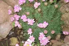 DSC02110-.webp
