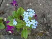 P1040590.webp