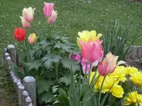 1.5.2010 011.webp