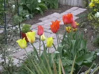1.5.2010 019.webp