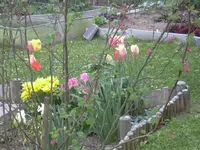 1.5.2010 020.webp
