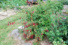 DSC_0054.webp
