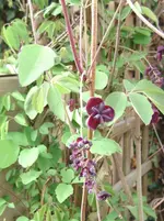 BILD0108.webp