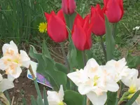 003.webp