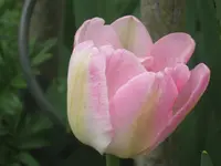 016.webp