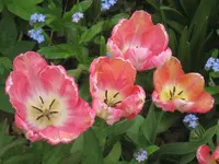 019.webp