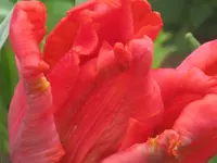 025.webp