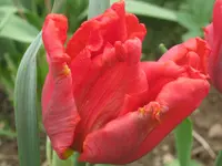 026.webp