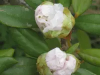024.webp