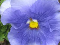 023.webp